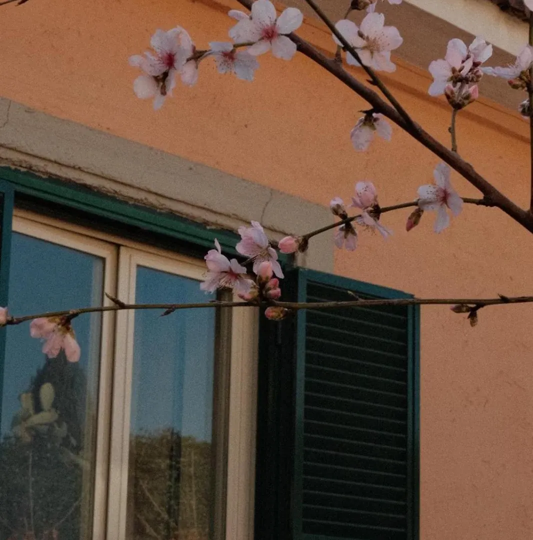 Antico Gelso Roma Villa 0*, Rome Italy