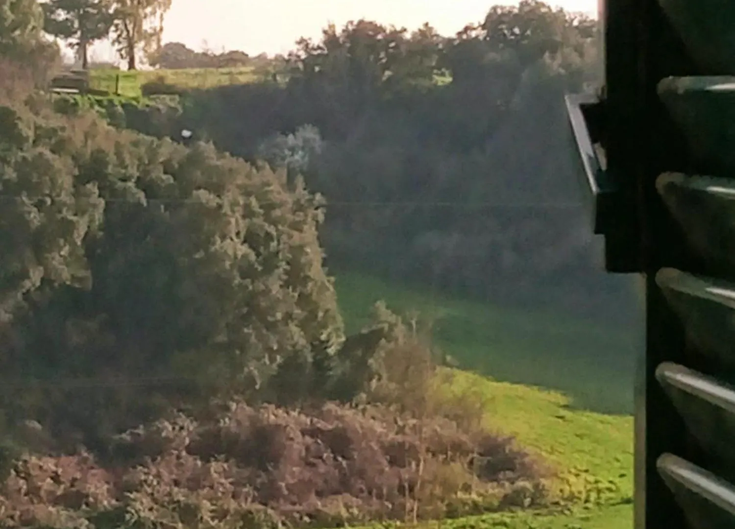 Antico Gelso Roma Villa Holiday home